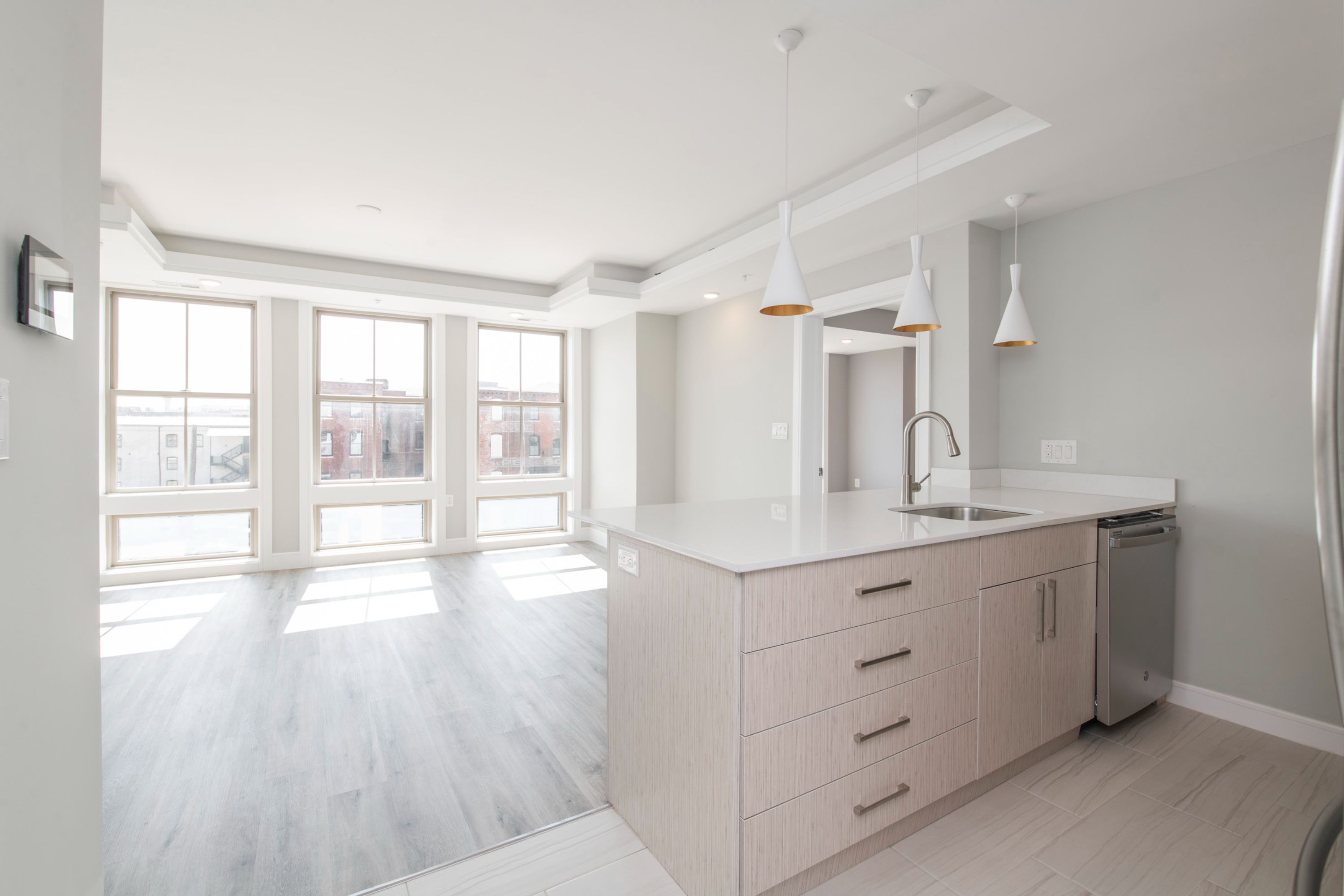 1633 N 2nd St Unit 306