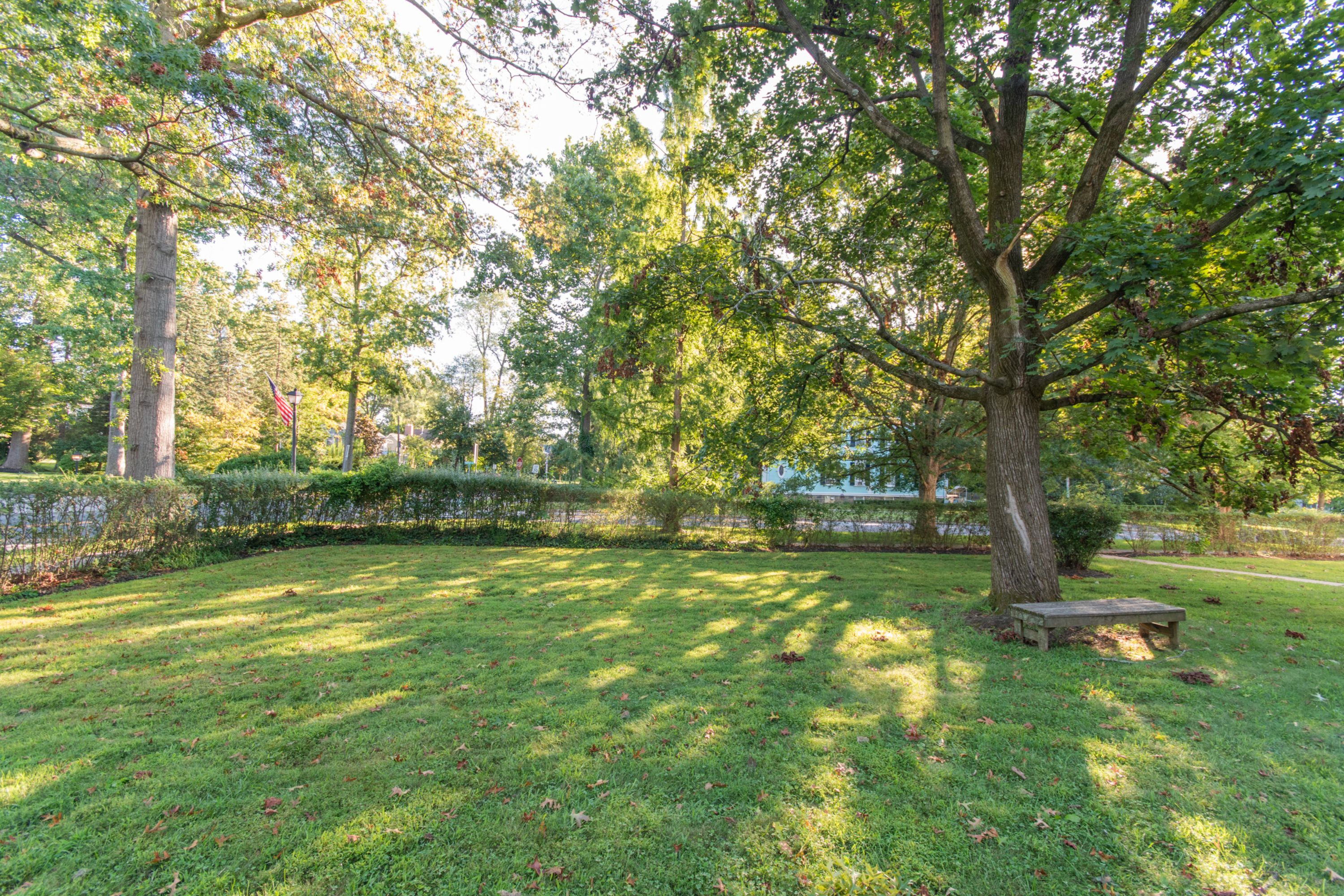291-293 Nassau St Unit 5